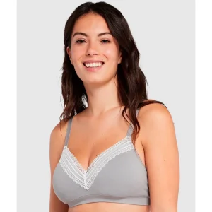 Buy Agathe Comfortable Padded Wirefree Bra with Lace