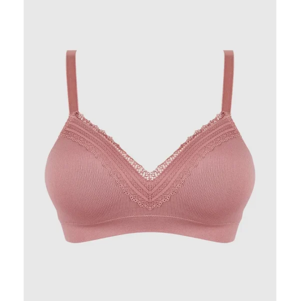 Buy Agathe Comfortable Padded Wirefree Bra with Lace