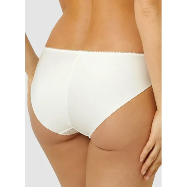 Buy Ariane Classic Lace & Microfiber Brief-Ivory