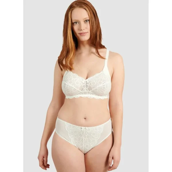 Buy Ariane Classic Lace & Microfiber Brief-Ivory