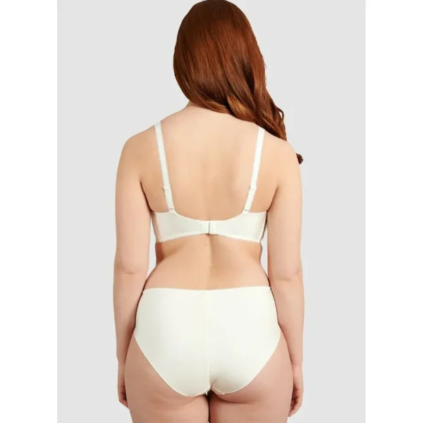 Buy Ariane Classic Lace & Microfiber Brief-Ivory