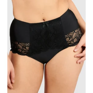 Buy Ariane Lace & Microfiber High Waist Brief