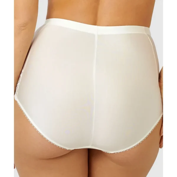 Buy Ariane Lace & Microfiber High Waist Brief