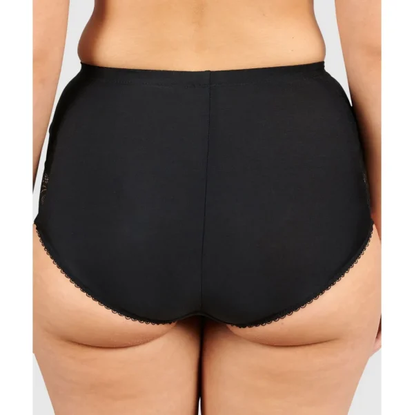 Buy Ariane Lace & Microfiber High Waist Brief