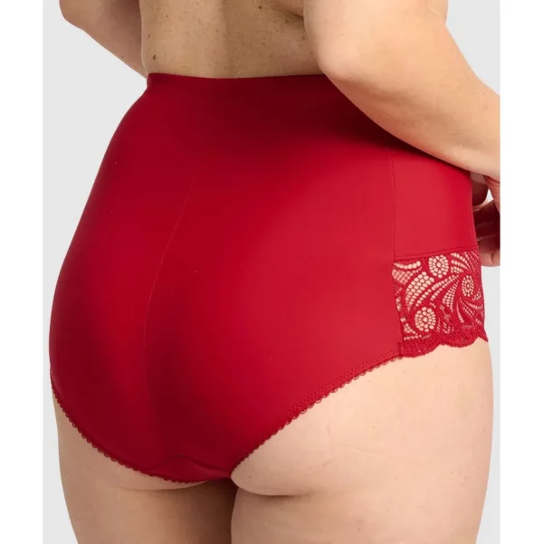 Buy Ariane Lace & Microfiber High Waist Brief-Jester Red