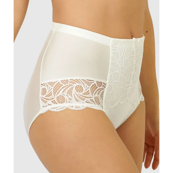 Buy Ariane Lace & Microfiber High Waist Brief