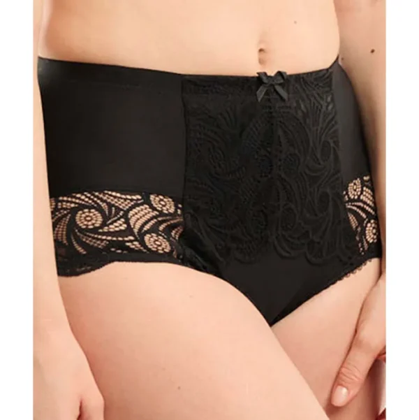 Buy Ariane Lace & Microfiber High Waist Brief