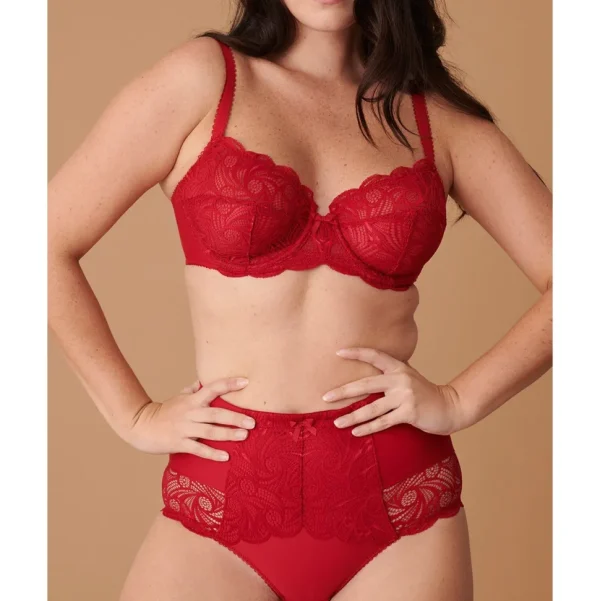 Buy Ariane Lace & Microfiber High Waist Brief-Jester Red