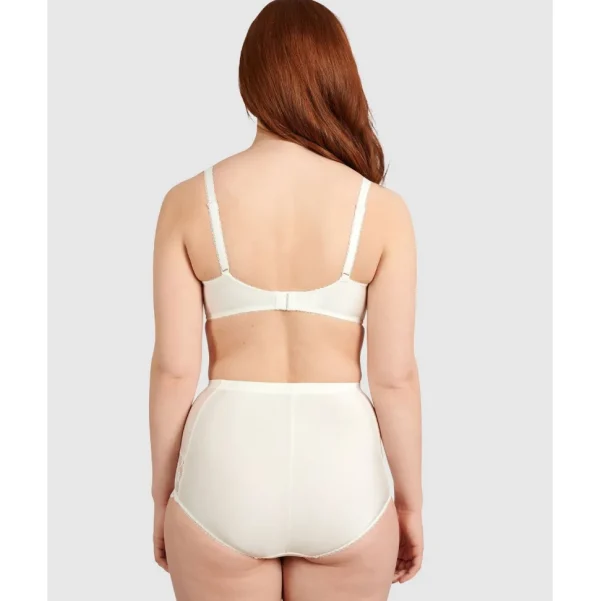 Buy Ariane Lace & Microfiber High Waist Brief