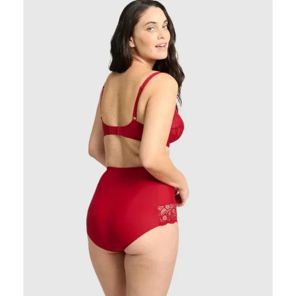 Buy Ariane Lace & Microfiber High Waist Brief-Jester Red