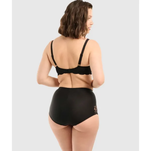 Buy Ariane Lace & Microfiber High Waist Brief