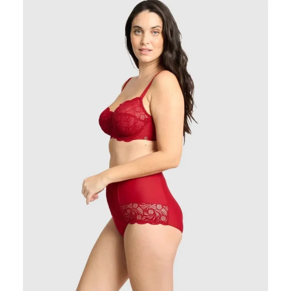 Buy Ariane Lace & Microfiber High Waist Brief-Jester Red