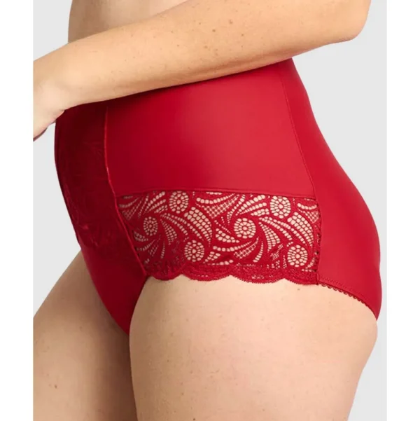 Buy Ariane Lace & Microfiber High Waist Brief-Jester Red