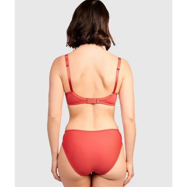 Buy Arum Microfiber & Lace Hipster Brief-Jester Red