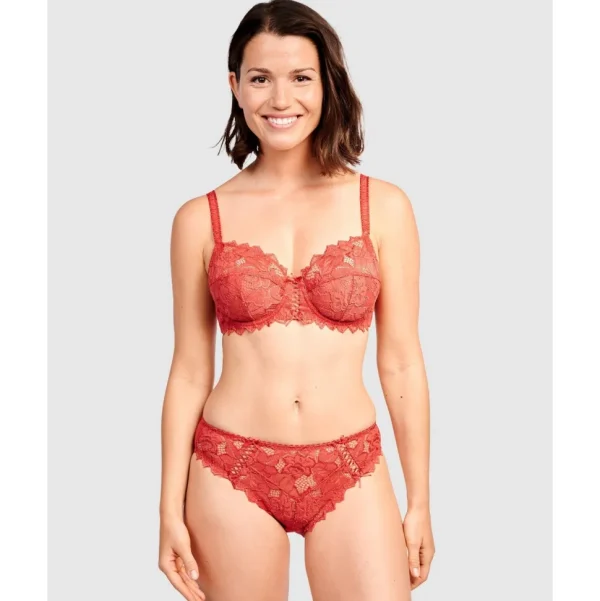 Buy Arum Microfiber & Lace Hipster Brief-Jester Red