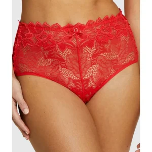 Buy Arum Prima Mid Rise Sheer Stretch Lace Brief