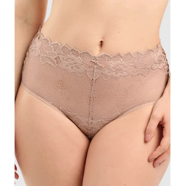 Buy Arum Prima Mid Rise Sheer Stretch Lace Brief