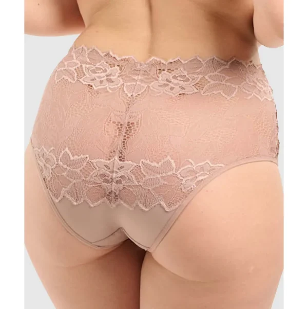 Buy Arum Prima Mid Rise Sheer Stretch Lace Brief