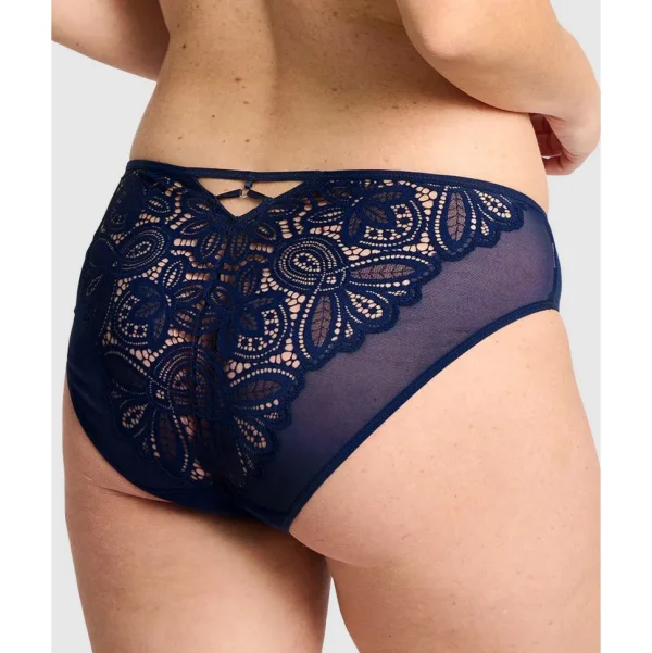 Buy Attirance Low Rise Mesh & Lace Bikini Brief