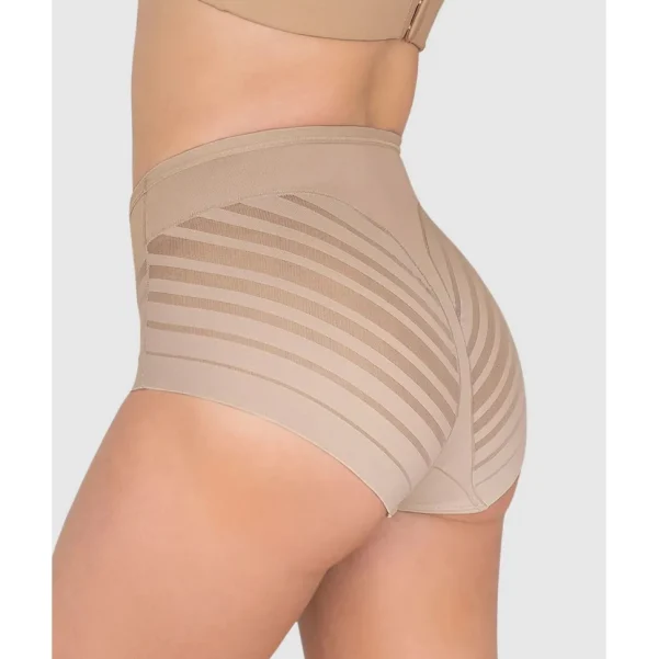 Buy Lace Stripe Undetectable Seamless Shaping Brief