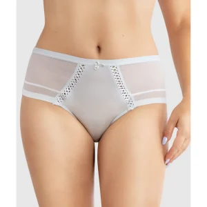 Buy Shea Full Coverage High Waist Brief-Silver