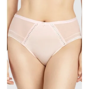 Buy Shea Full Coverage High Waist Brief-Petal Pink