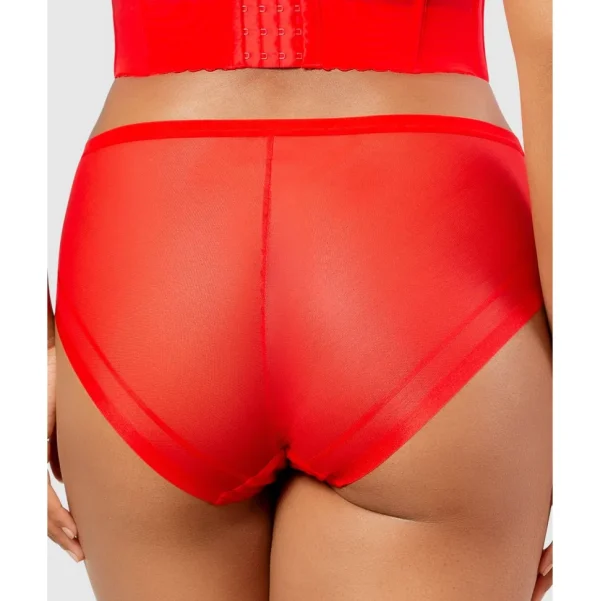 Buy Shea Full Coverage High Waist Brief-Racing Red