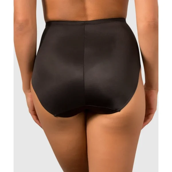 Buy Sheer Shaping Waist Line Brief