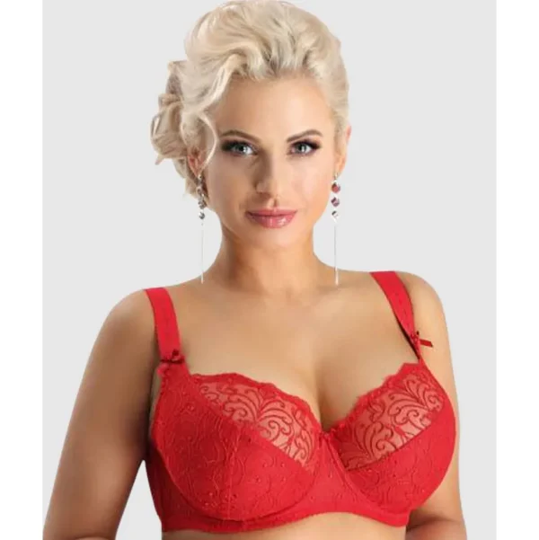 Buy Sonata Unlined Embroidered Large Cup Wired Bra