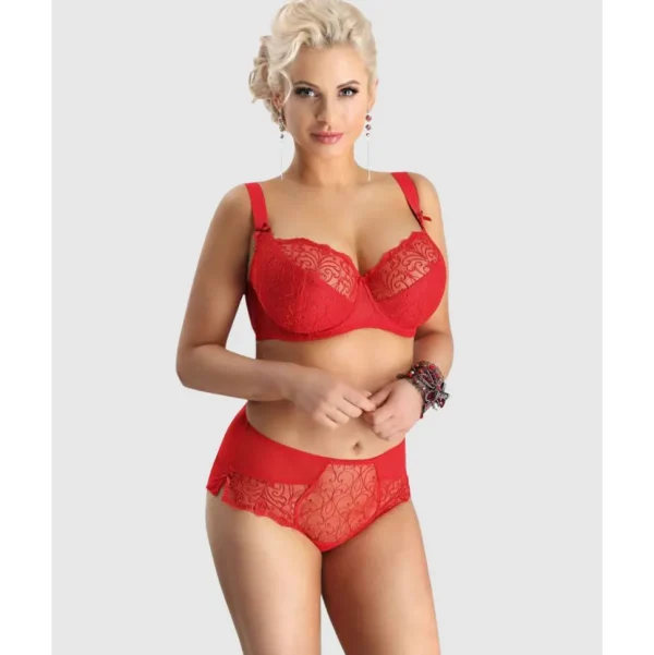 Buy Sonata Unlined Embroidered Large Cup Wired Bra