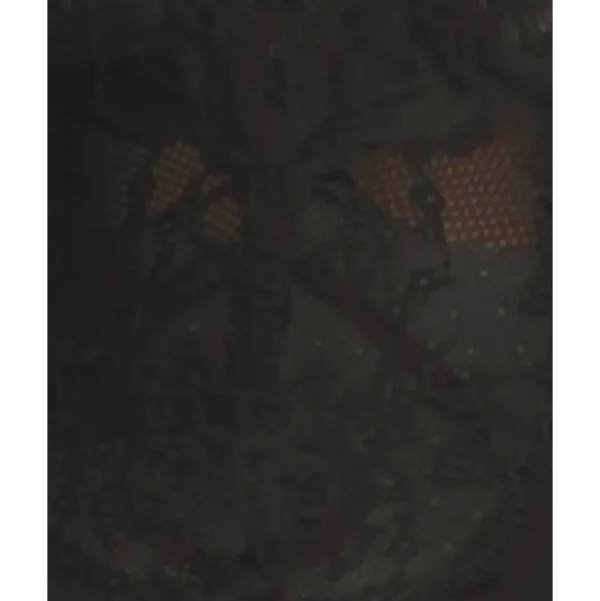 Buy Viscose & Sheer Lace Lingerie Bodysuit