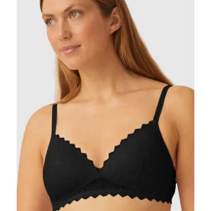 Buy Wirefree Triangle Cup Padded Lace Bra